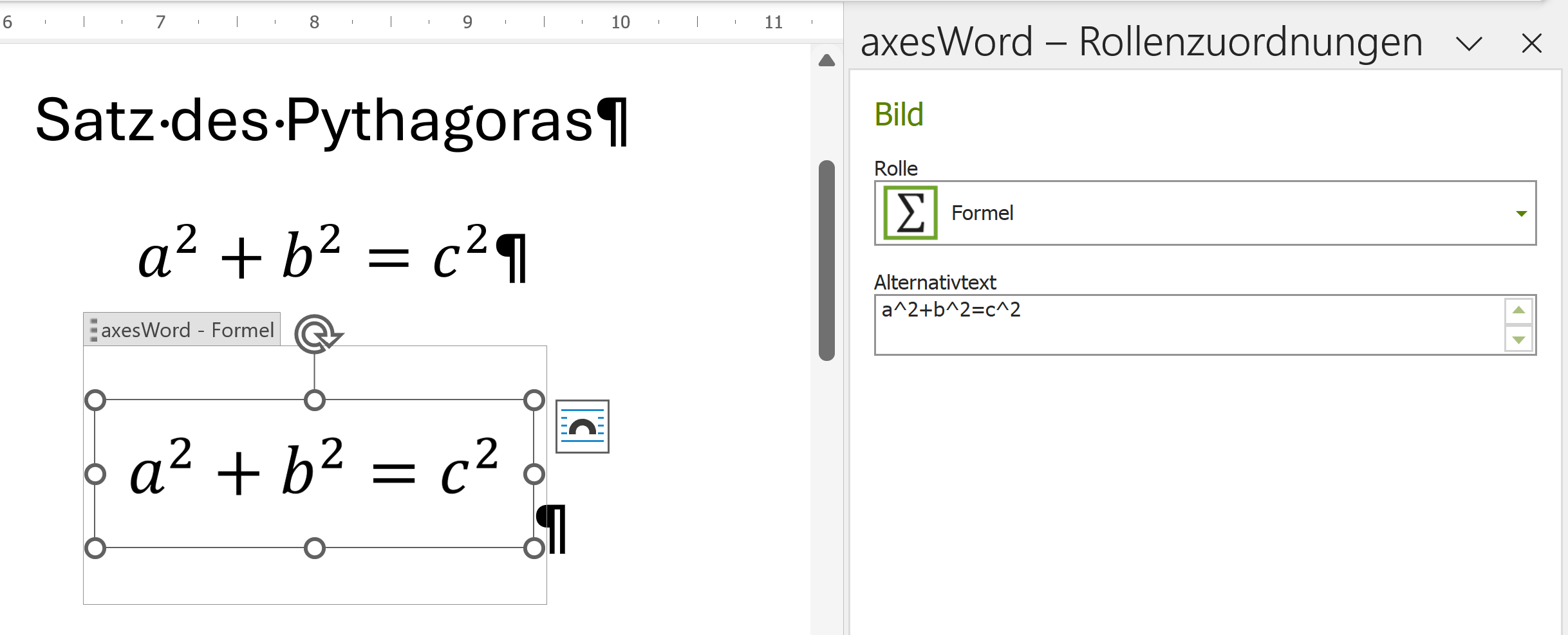 Word: Formel als Bild und axesWord-Rollenzuordnungen
