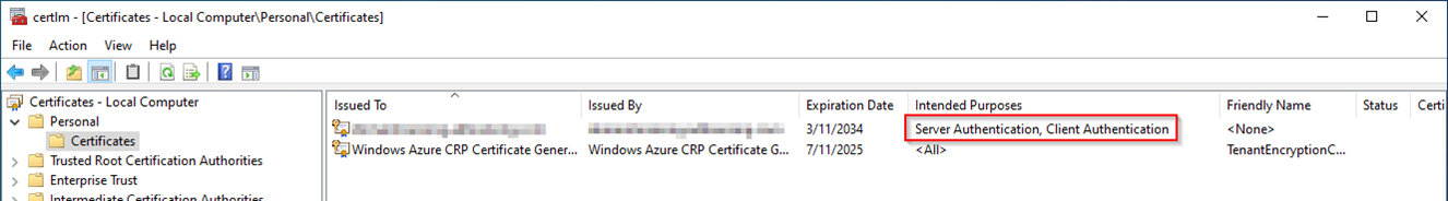 Screenshot der Computer-Zertifikat-Verwaltung von Windows. Ein Zertifikat mit Server Authentication ist markiert.