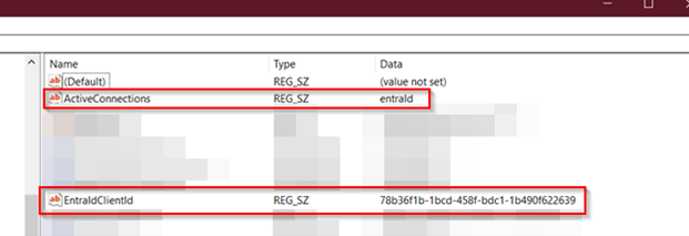 Screenshot des Windows Registry Editors mit zwei markierten String Values. Der erste lautet 'ActiveConnections' und hat den Wert 'entraId', der zweite lautet 'EntraIdClientId' und hat einen zufälligen GUID-Wert.